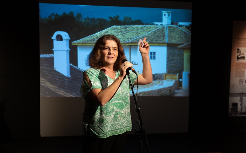 Dr. Csejdy Júlia kurátor
