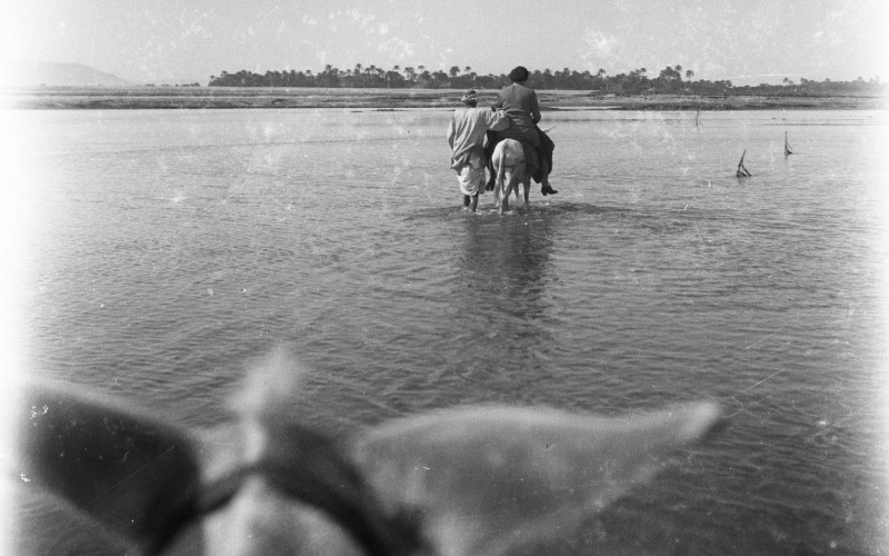 Árkayné Sztehlo Lili Egyiptomban, MÉM MDK Fotótár ltsz. 093.309bN (Árkay Bertalan, 1930-as évek) 