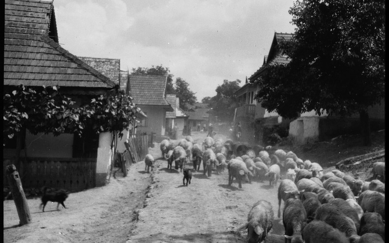 8.	Hollókő, utcakép, MÉM MDK Fotótár, ltsz. 091.445dN (Szöllőssy Kálmán, évszám nélkül)