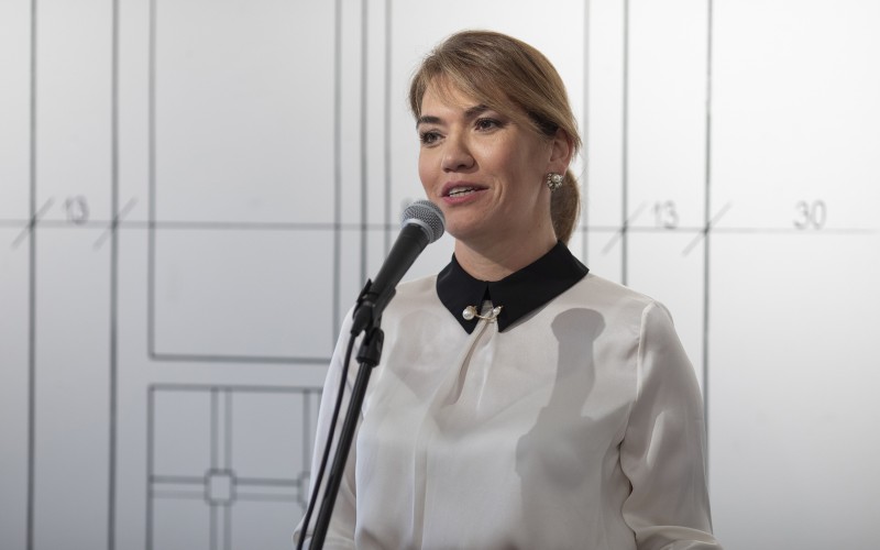 Gülşen Karanis-Ekşioğlu, Törökország magyarországi nagykövete