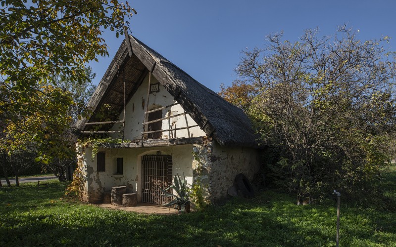 Csopak, Berekháti u. 35.  fotó: Nyirkos Zsófia