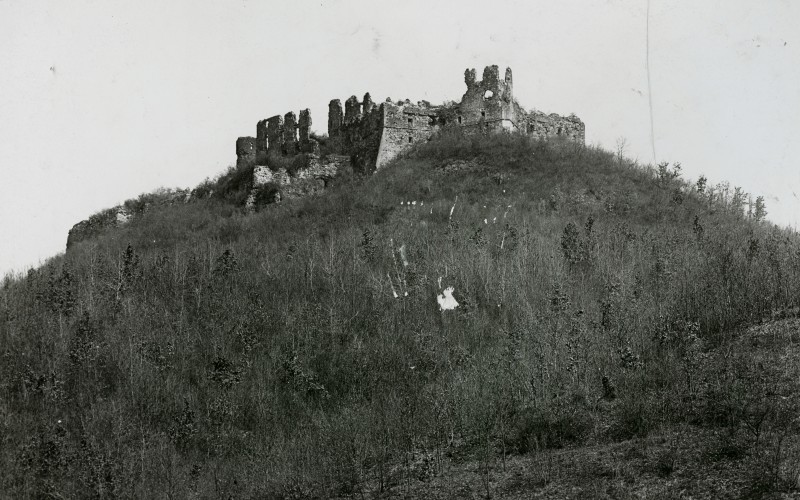 Huszt (Kárpátalja)