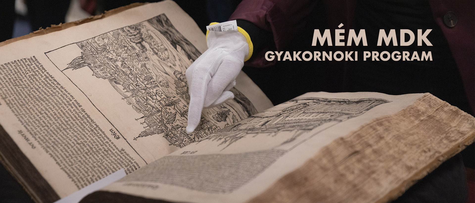 MÉM MDK GYAKORNOKI PROGRAM